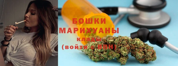 индика Коряжма