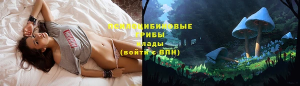 индика Коряжма