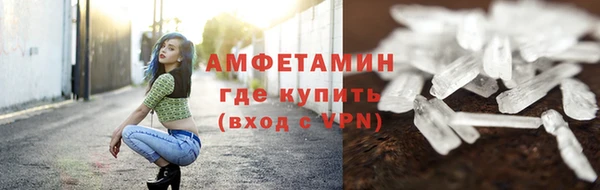 индика Коряжма