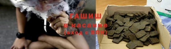 индика Коряжма