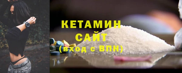 индика Коряжма