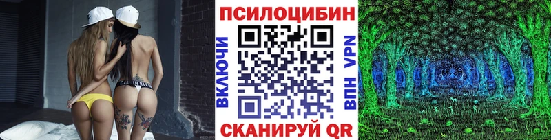 Купить  Мышкин  Псилоцибиновые грибы GOLDEN TEACHER 